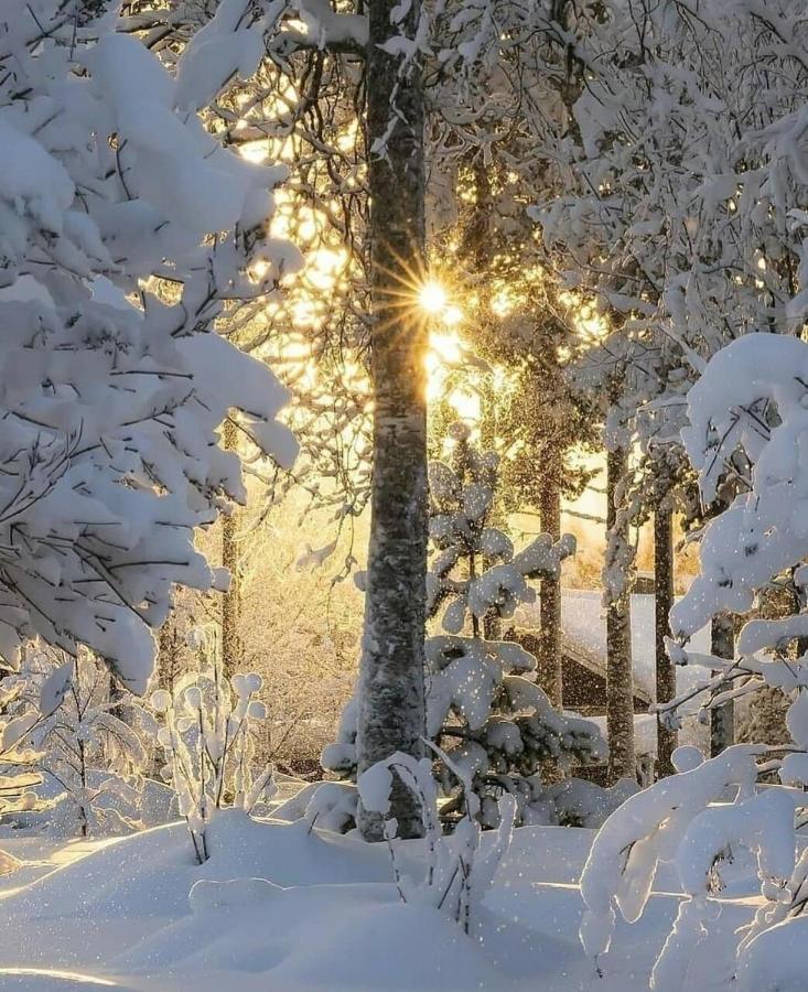 Posada El Pareon Sirviella Exteriér fotografie