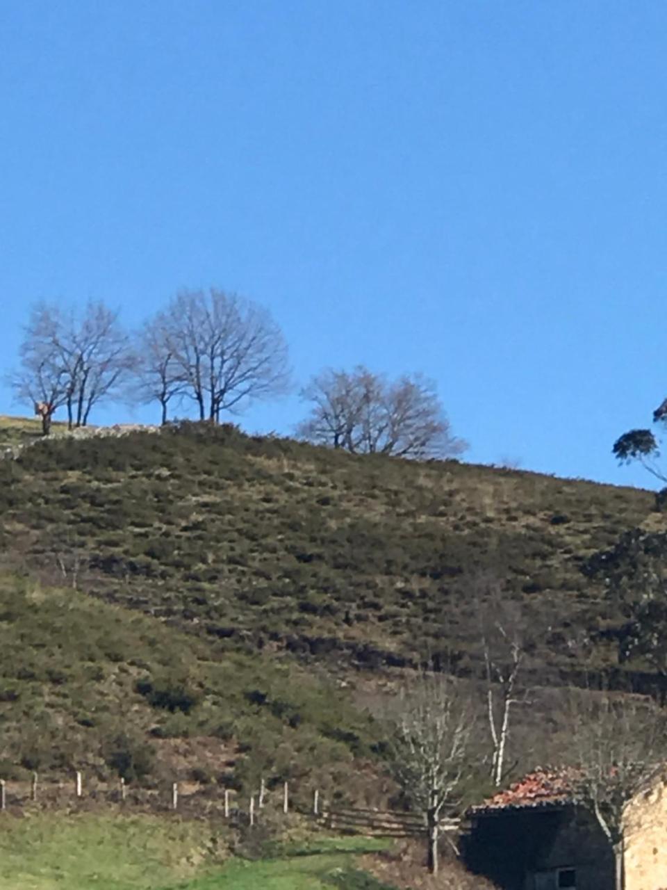 Posada El Pareon Sirviella Exteriér fotografie
