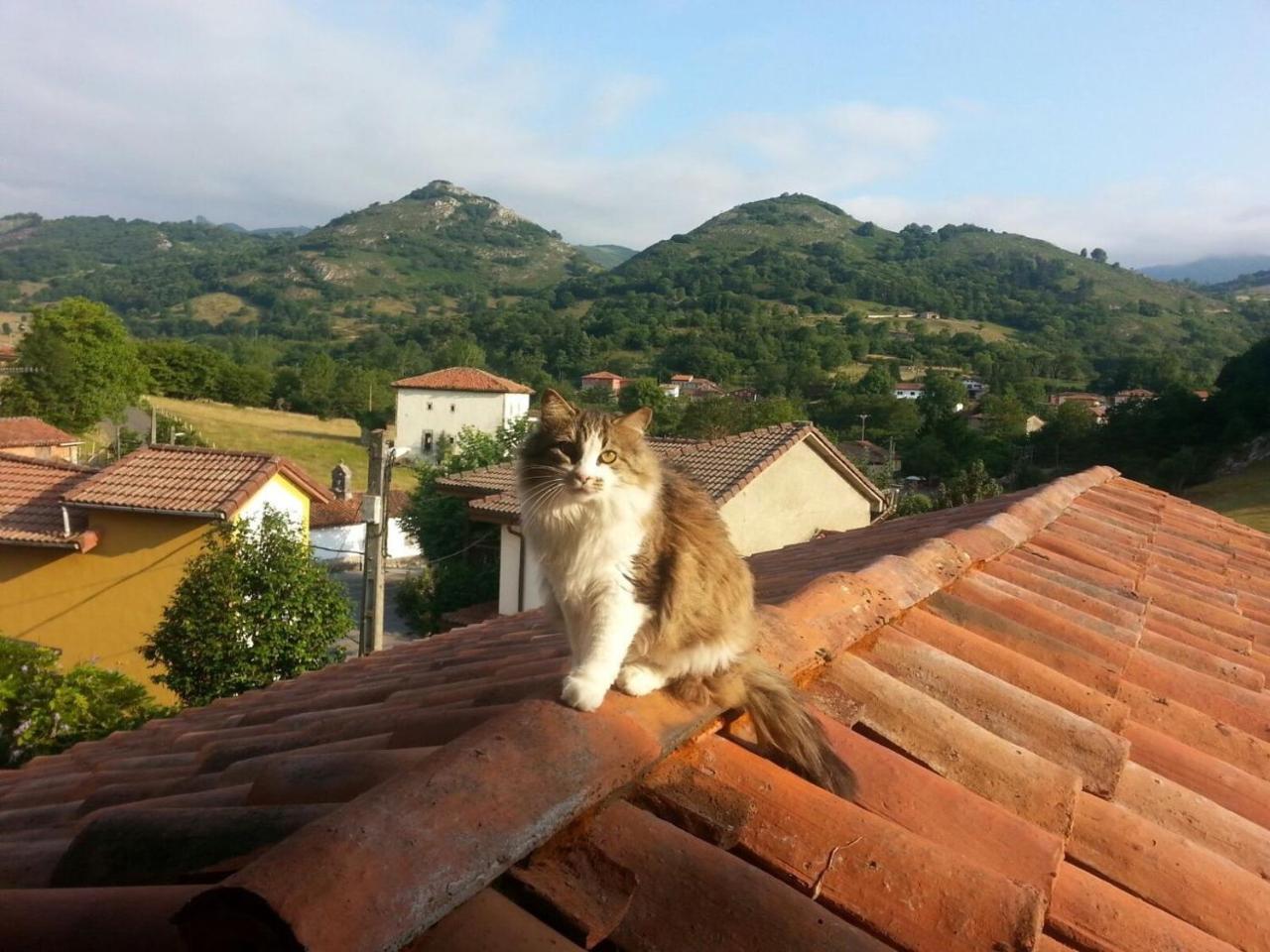 Posada El Pareon Sirviella Exteriér fotografie